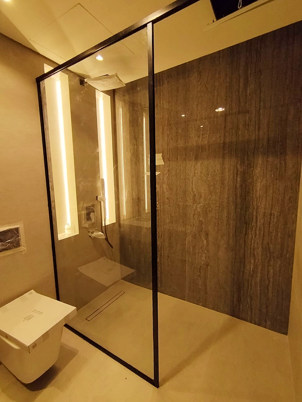 Shower door project 10