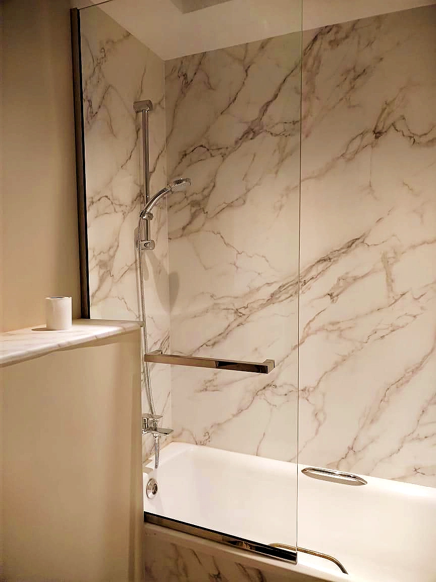 Shower door project 11