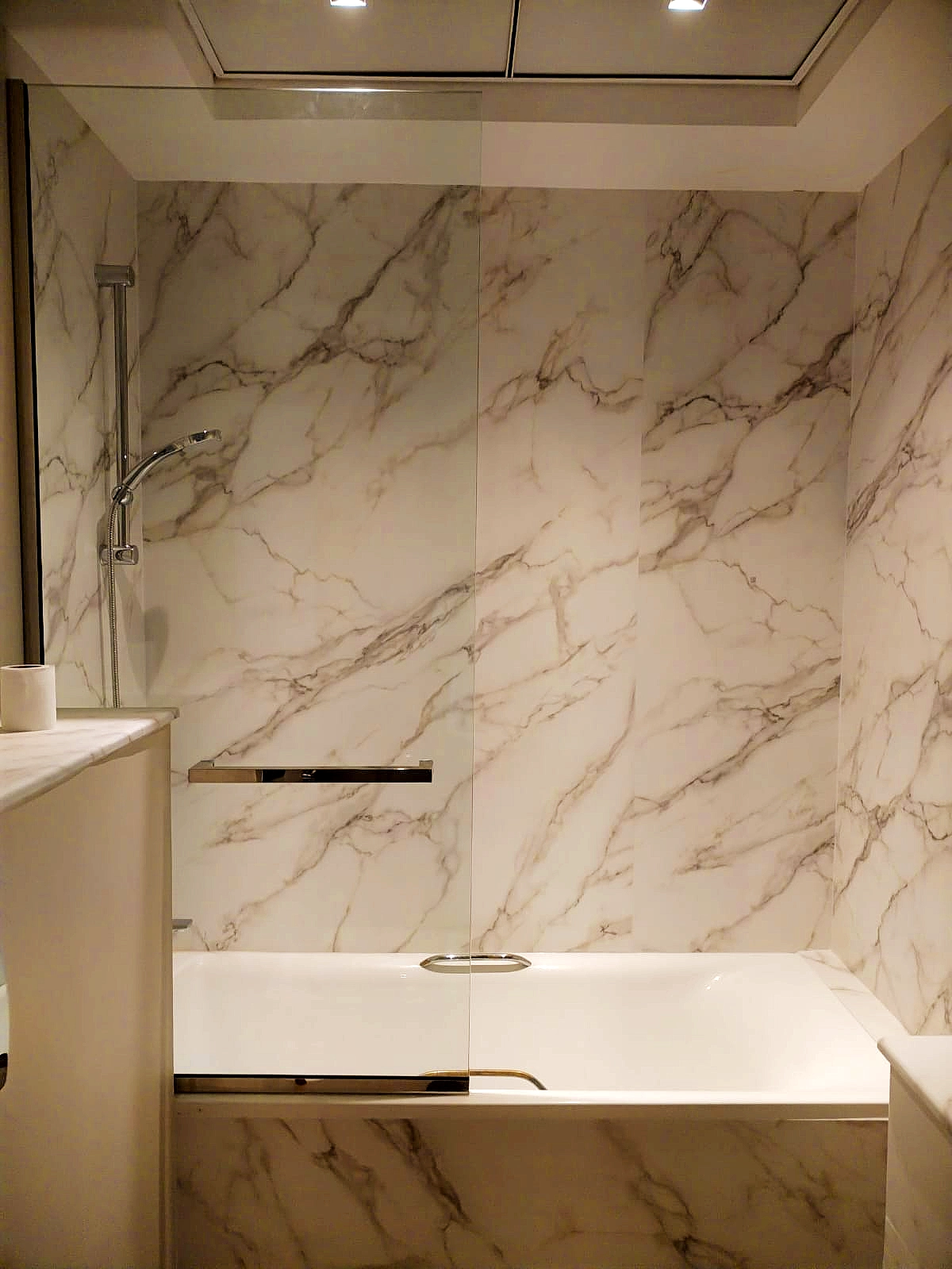 Shower door project 8