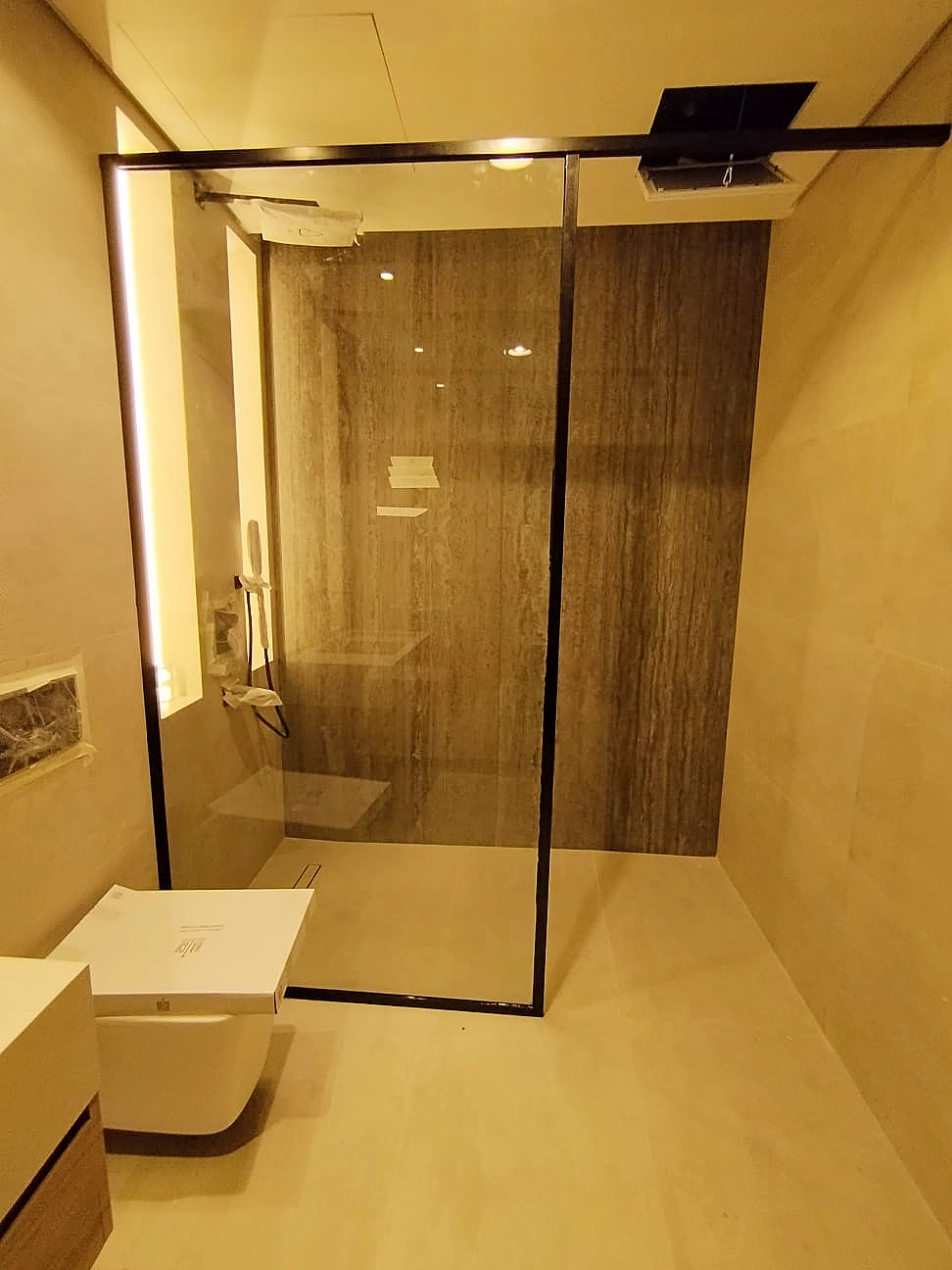 Shower door project 9